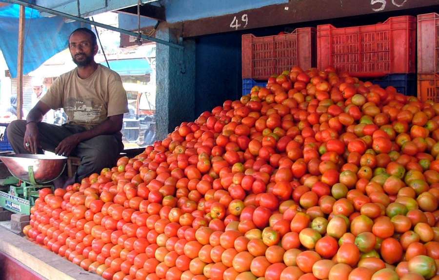 Bengaluru: A tomato vendor sells tomatoes at Kalasipalya Vegetable Market, where the prices of the tomatoes are sky rocketing in the retail market due to the crop loss; in Bengaluru on June 18, 2016. (Photo: IANS)