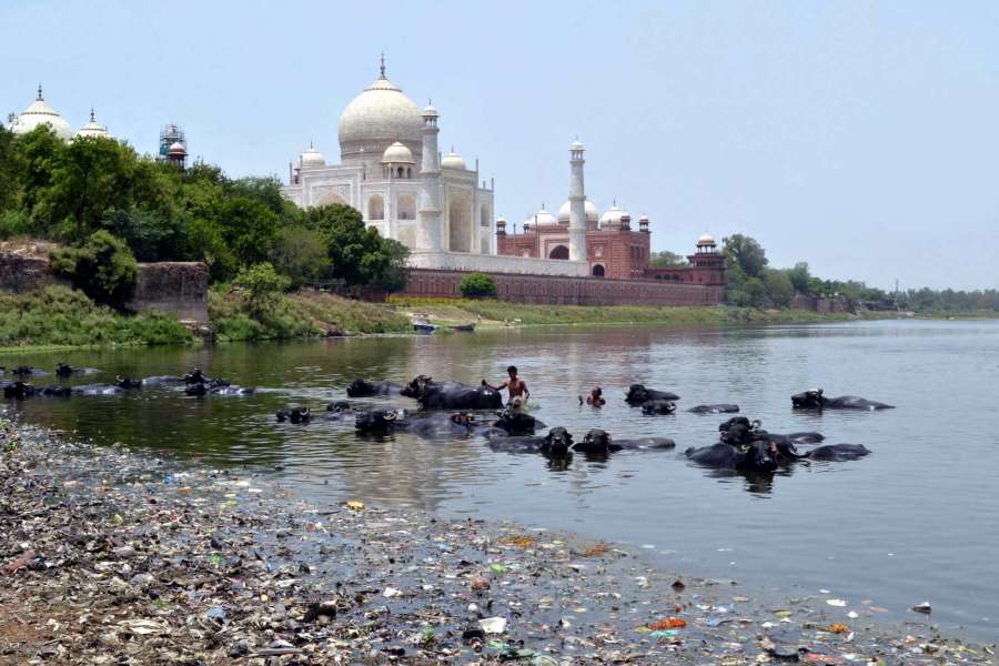 Agra: A view of polluted Yamuna river flowing by the Taj Mahal in Agra on June 5, 2017. (Photo: Pawan Sharma/IANS) by .
