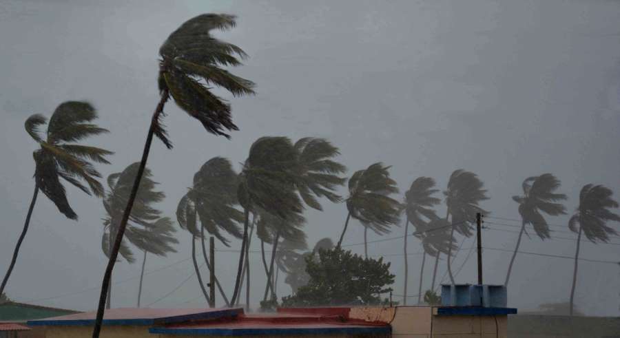 CAMAGUEY, Sept. 9, 2017 (Xinhua) -- Palm trees struggle against strong wind at the Santa Lucia Beach in Camaguey of Cuba Sept. 8, 2017. Hurricane Irma continued to batter Cuba's northeast coast on Friday with strong wind and waves. (Xinhua/Str/IANS) by .