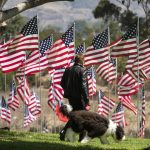 MALIBU, Sept. 11, 2018 (Xinhua) -- A man walks his dog among U.S. national flags erected to honor the victims of the September 11, 2001 attacks in New York, at the campus of Pepperdine University in Malibu, the United States, Sept. 10, 2018. (Xinhua/Zhao Hanrong/IANS) by .