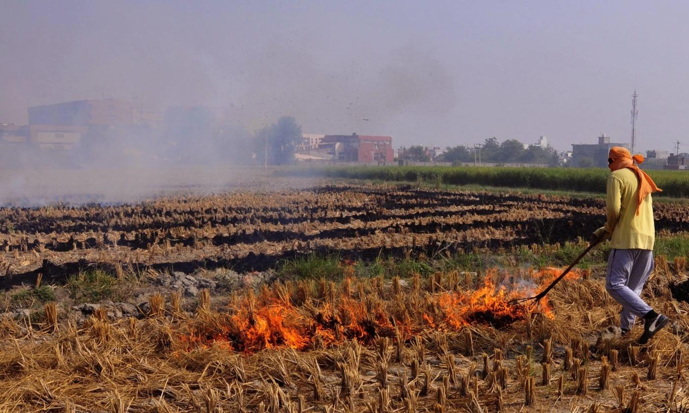 Amritsar: Stubble being burnt in a field on the outskirts of Amritsar on Oct 13, 2017. (Photo: IANS) by .