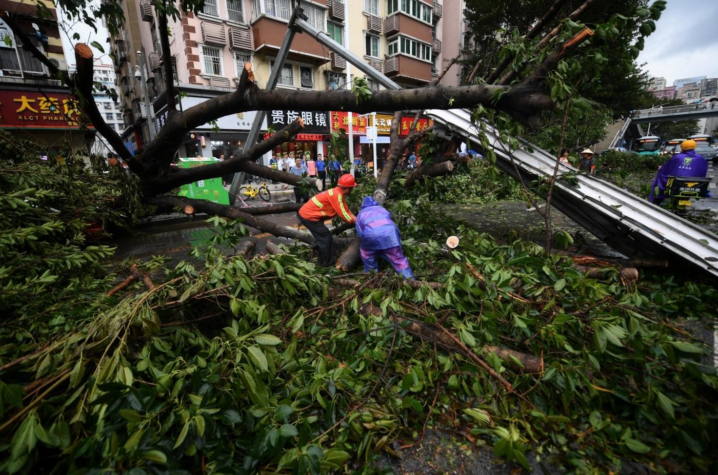 SHENZHEN, Sept. 17, 2018 (Xinhua) -- People clear fallen trees in Futian District of Shenzhen, south China's Guangdong Province, Sept. 17, 2018. Local meteorological authority cancelled the yellow warning against typhoon Monday afternoon. The disaster relief work is underway. (Xinhua/Mao Siqian/IANS) by .