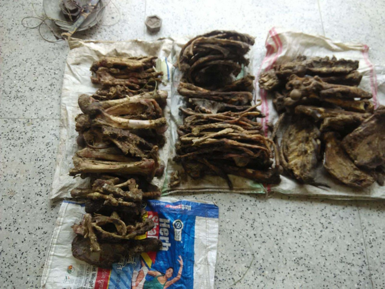 Tiger bones and other parts, destined to cross the border were tracked by Wildlife Protection Society of India (WPSI), poached from Valmiki Tiger Reserve, Bihar. The forest has roughly 17 to 22 Tigers as of 2014, of which multiple cases of poaching had been reported with four in 2016 alone. by .