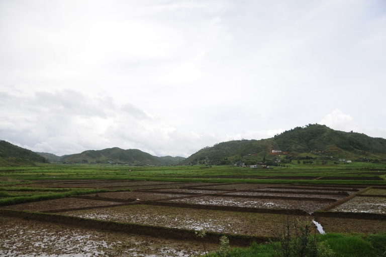 Agriculture in Meghalaya. Photo by Sharada Prasad CS/Wikimedia Commons. by .