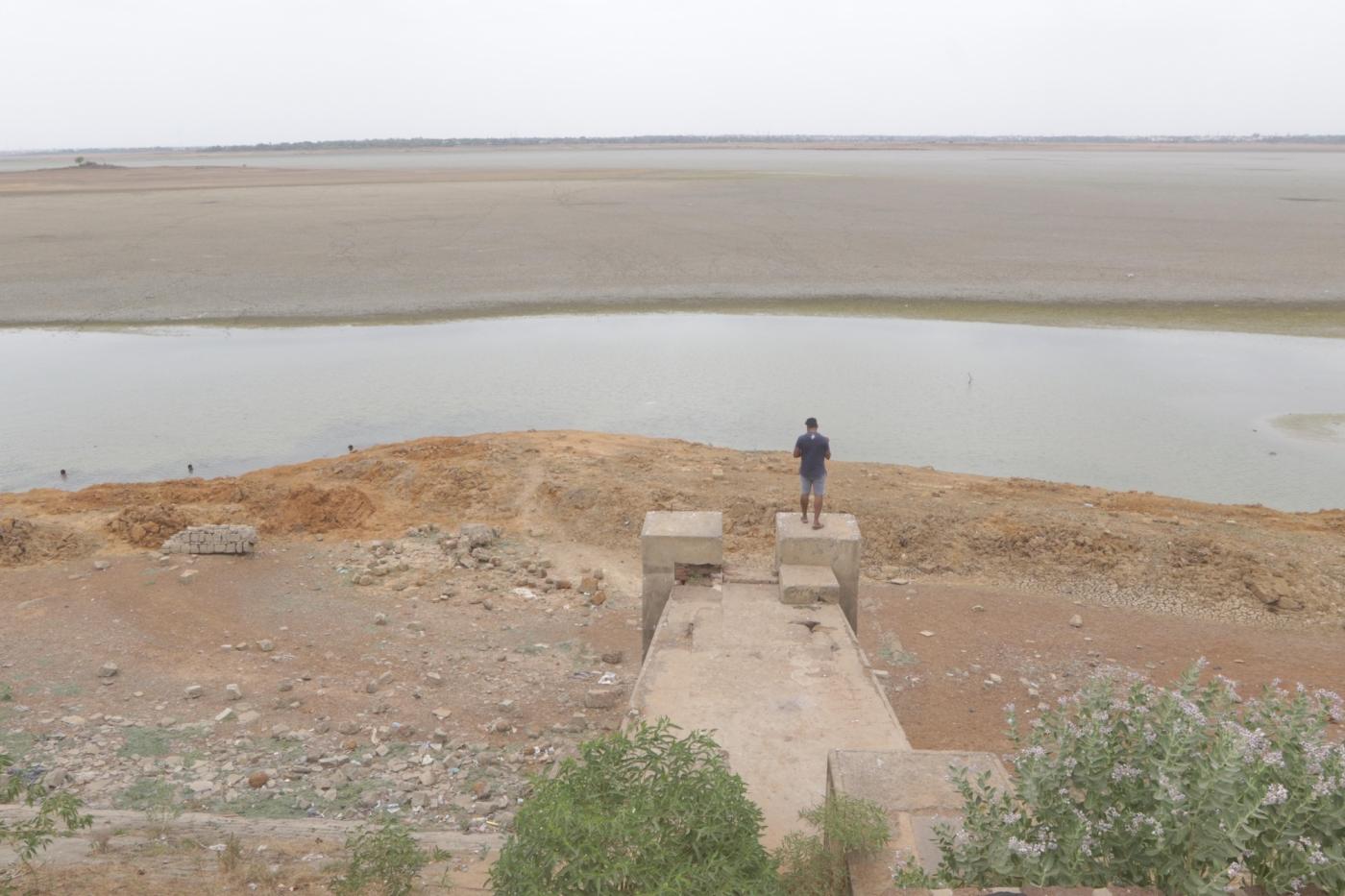 Chennai: A view of the dried out Puzhal reservoir on the outskirts of Chennai, on June 20, 2019. Chennai and several other places in Tamil Nadu are suffering from water shortage. The ground water levels too have gone down owing to lack of rains. (Photo: IANS) by .
