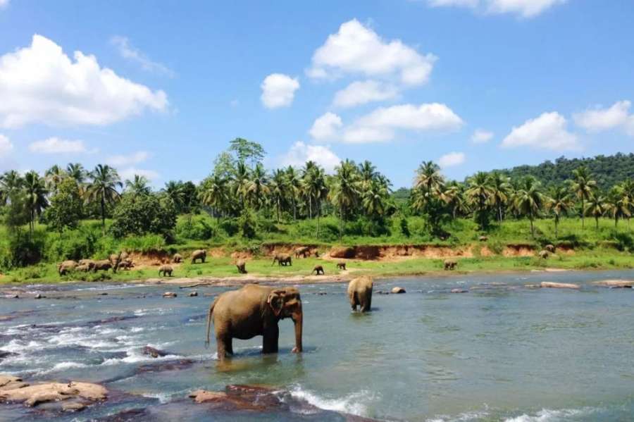 Sri Lanka: Tourism promotion campaign will be started in 12 countries including China. by .